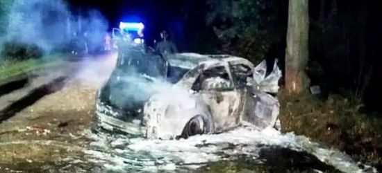 Wstrząsający wypadek. Zwęglone ciała 4 nastolatków w spalonym audi (ZDJĘCIA)