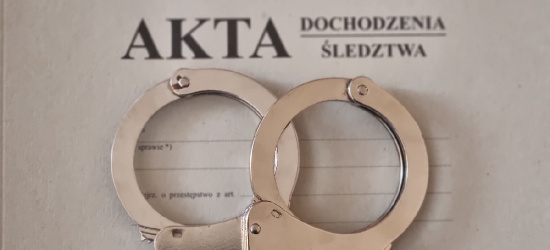 PODKARPACIE. 75-latek uderzył żonę młotkiem w głowę. Grozi mu dożywocie