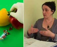 ,,Kto ma żywność ten ma władzę”, Rozmowa z Jolantą Dal na temat organizmów zmodyfikowanych genetycznie (GMO) (FILM)