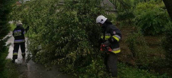 PORAŻ. Połamane drzewo zablokowało drogę (ZDJĘCIA)