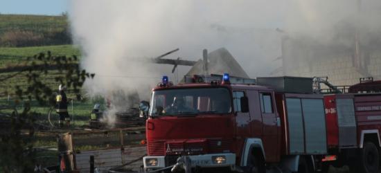 BIESZCZADY: Pożar domku letniskowego. Straty oszacowano na 300 tys. zł