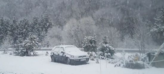 W Bieszczadach biało! Zima nie powiedziała jeszcze ostatniego słowa (VIDEO, ZDJĘCIA)