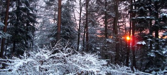 BIESZCZADY: Kilka pięknych kadrów. Zachwycające Biesy (FOTO)