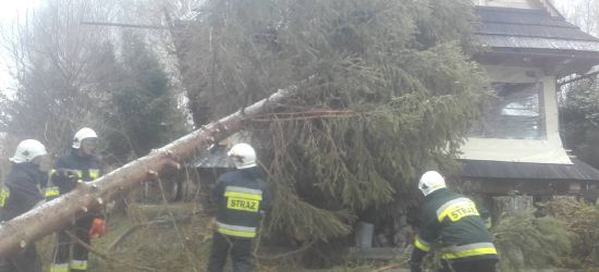 BIESZCZADY: Drzewa spadały na domy i blokowały drogi (ZDJĘCIA)