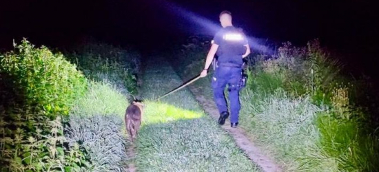 Saba skradziona, odnaleziona i … już bezpieczna w domu. Szybka i skuteczna akcja brzozowskich policjantów