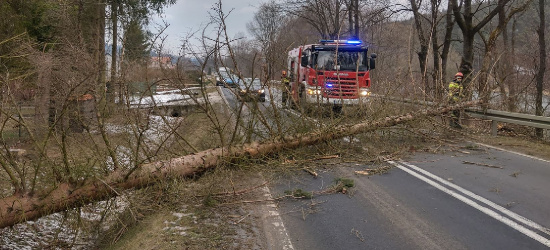 POWIAT SANOCKI. Wichury, duże zagrożenie. Wiatr sieje spustoszenie w kraju