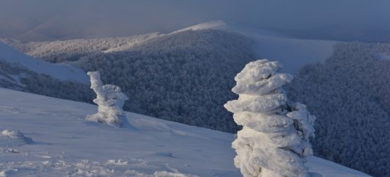 BIESZCZADY: Zima to wielka artystka! (ZDJĘCIA)