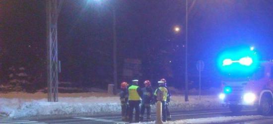 Alpaki, czyli „chodzące maskotki” pomogą w rehabilitacji. Centrum Zooterapii chlubą WSIiZ w Rzeszowie (FILM)