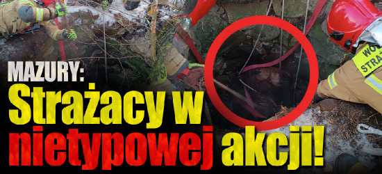 MAZURY. Brawurowa akcja strażaków! Ruszyli na ratunek uwięzionemu zwierzęciu