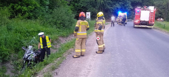 ZAŁUŻ. Motocyklista zderzył się z leśnym zwierzęciem! (ZDJĘCIA)