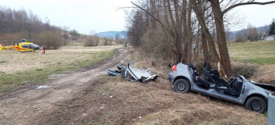 Volkswagen uderzył w drzewo. Ranny 20-latek!