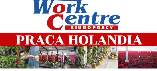 Legalna praca w Holandii na wyciągnięcie ręki