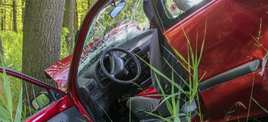 PODKARPACIE. 37-latka wjechała w drzewo. Szybko poznano przyczynę…