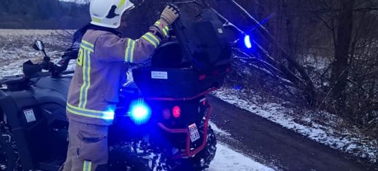 Złamane drzewo blokowało przejazd. „Dzik” w akcji! (FOTO)