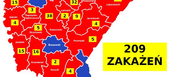 AKTUALIZACJA. Koronawirus na Podkarpaciu. AKTUALNA MAPA