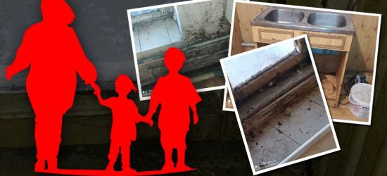 Ciąg dalszy sprawy „mieszkania uwłaczającego ludzkiej godności”. Matka z Leska: Dzisiaj w chlewach jest lepiej