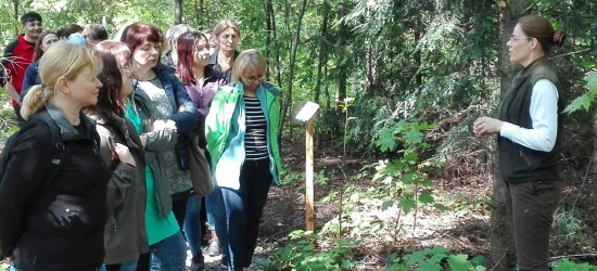 „Coraz więcej osób korzysta z dobrodziejstw lasu”. Istotna edukacja!