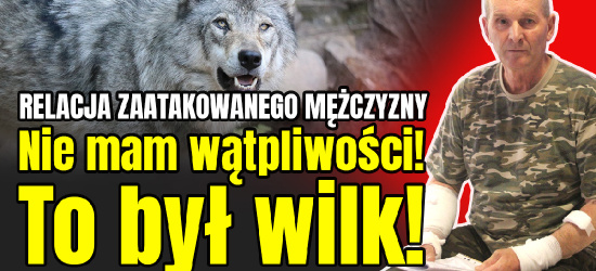 🔴 RELACJA MĘŻCZYZNY: 💬 Potężny cios w pysk odstraszył wilka❗️ (VIDEO)