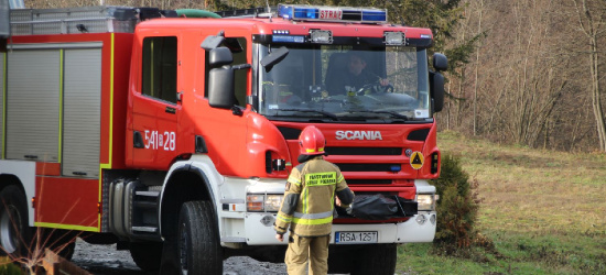 Dzisiaj Międzynarodowy Dzień Strażaka!