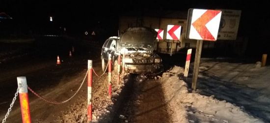 Samochód wypadł z jezdni i ściął słupki. Nocna interwencja strażaków (ZDJĘCIA)