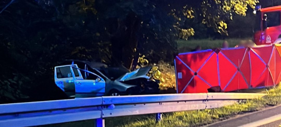 GLINNE. Śmierć 19-letniej kierującej. Skoda uderzyła w drzewo (ZDJĘCIA)