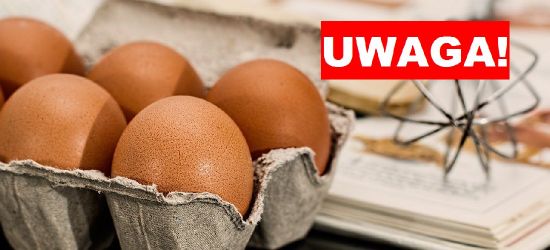 Salmonella! Jajka wycofywane z obrotu