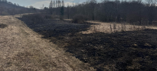 BIESZCZADY: Strażacy dwukrotnie gasili pożary traw (ZDJĘCIA)