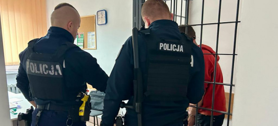 POWIAT BRZOZOWSKI: Cztery osoby z zarzutami. Kradzież, pijany kierowca