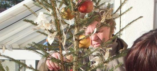 II Sanocka Akcja Śpiewania Kolęd: Bieszczadzki Sztab WOŚP i weterani Wojska Polskiego (FILM)