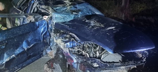 Samochód uderzył w drzewo i dachował. Wśród pasażerów 1,5-roczne dziecko (ZDJĘCIA)