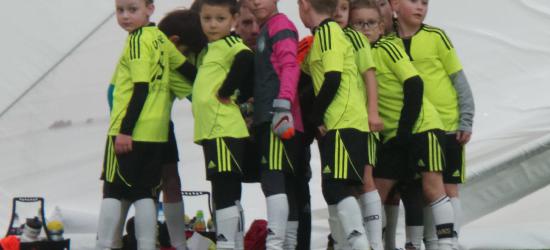 32 mecze w jeden weekend. Akademia Piłkarska Sanok w świetnej formie (ZDJĘCIA)