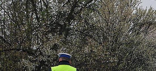 Sanocka „kranówa” będzie jak kryształ. Dzisiaj świętowano oddanie do użytku zmodernizowanego ujęcia wody i oczyszczalni ścieków (FILM)