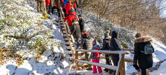 BIESZCZADY: Ponad 100 km odnowionych szlaków (ZDJĘCIA)