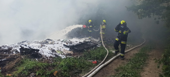 Pożar dzikiego wysypiska. Trwają czynności wyjaśniające (ZDJĘCIA)