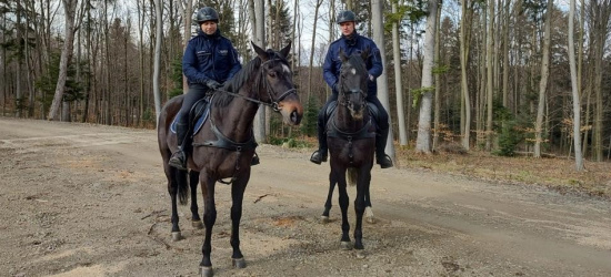 Dla ochrony zwierzyny, przeciwdziałania i zwalczania kłusownictwa (FOTO)
