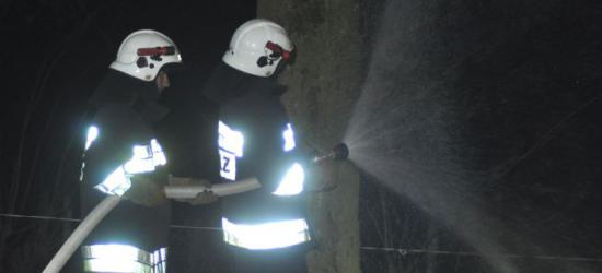 Miłośnicy Kolei zapraszają na Ogólnopolski Zlot Drezyniarzy w Zagórzu