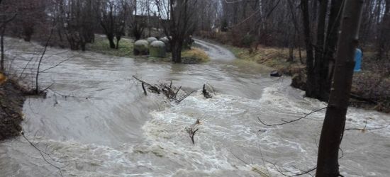 Zator na rzece zablokował drogę. Akcja strażaków (ZDJĘCIA)