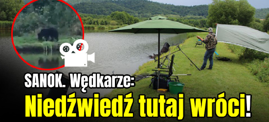 SANOK. Niedźwiedź na ulicach miasta. WĘDKARZE: On tu wróci! (NOWE VIDEO)