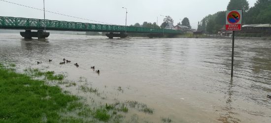 San przekroczył stan ostrzegawczy. Zbliża się do poziomu alarmowego (VIDEO, ZDJĘCIA)