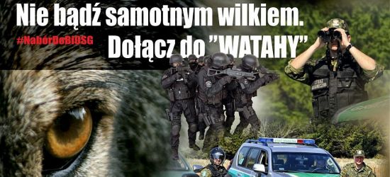 BIESZCZADY: Nie bądź samotnym wilkiem, dołącz do watahy!
