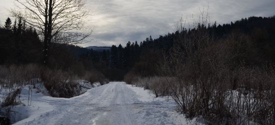 KOMUNIKAT BdPN: Sprawdzamy warunki panujące na szlakach