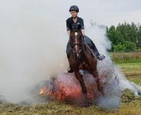 Ekstremalne sytuacje im niestraszne. Ćwiczenia policji konnej (FILM, ZDJĘCIA)