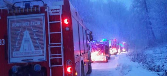 Pożar ośrodka wypoczynkowego w Solinie. Na miejscu 7 zastępów straży (ZDJĘCIA)