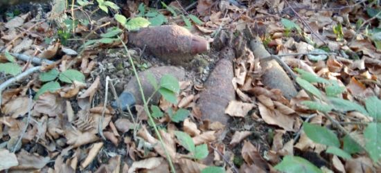 Wystające z ziemi pociski. 13 sztuk granatów moździerzowych