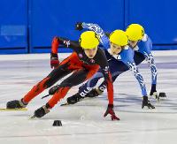 Sportowa rywalizacja w sanockiej Arenie. W roli głównej short-trackowcy (ZDJĘCIA)