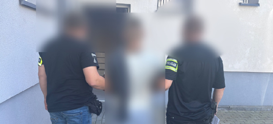 Ukradli złoto i biżuterię za 300 tys. zł. Policja zatrzymała dwóch mężczyzn