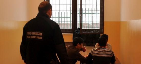 Przez „zieloną granicę” w Bieszczadach podróżowali do Warszawy