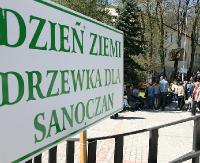 DZISIAJ: Drzewko dla sanoczan. Przyjdź na Plac Harcerski i odbierz swoją sadzonkę