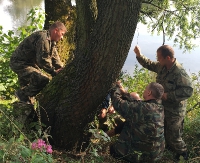 SANOK: Przyrodnicy uratowali drzewa przed zębami bobrów (ZDJĘCIA)