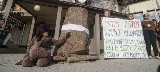 NADESŁANE: Postawione postulaty zaprzestania wycinki i wstrzymania polowań